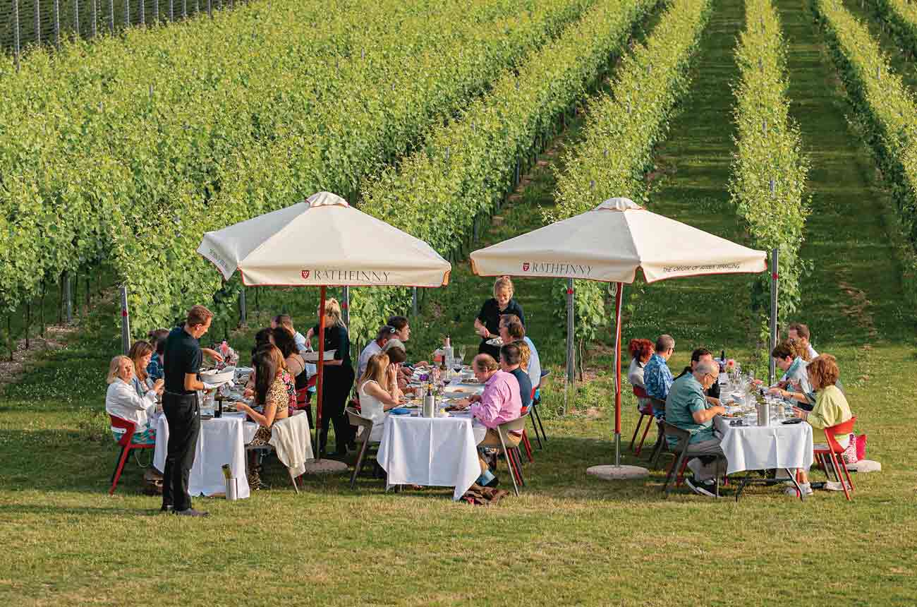 Dining by the vines at Rathfinny Estate, near Alfriston