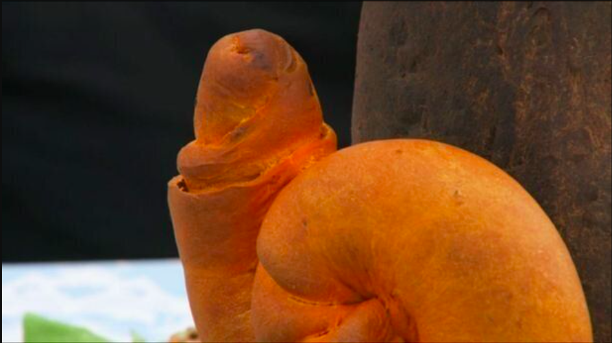 An orange loaf of bread is meant to look like a snail but is far more phallic