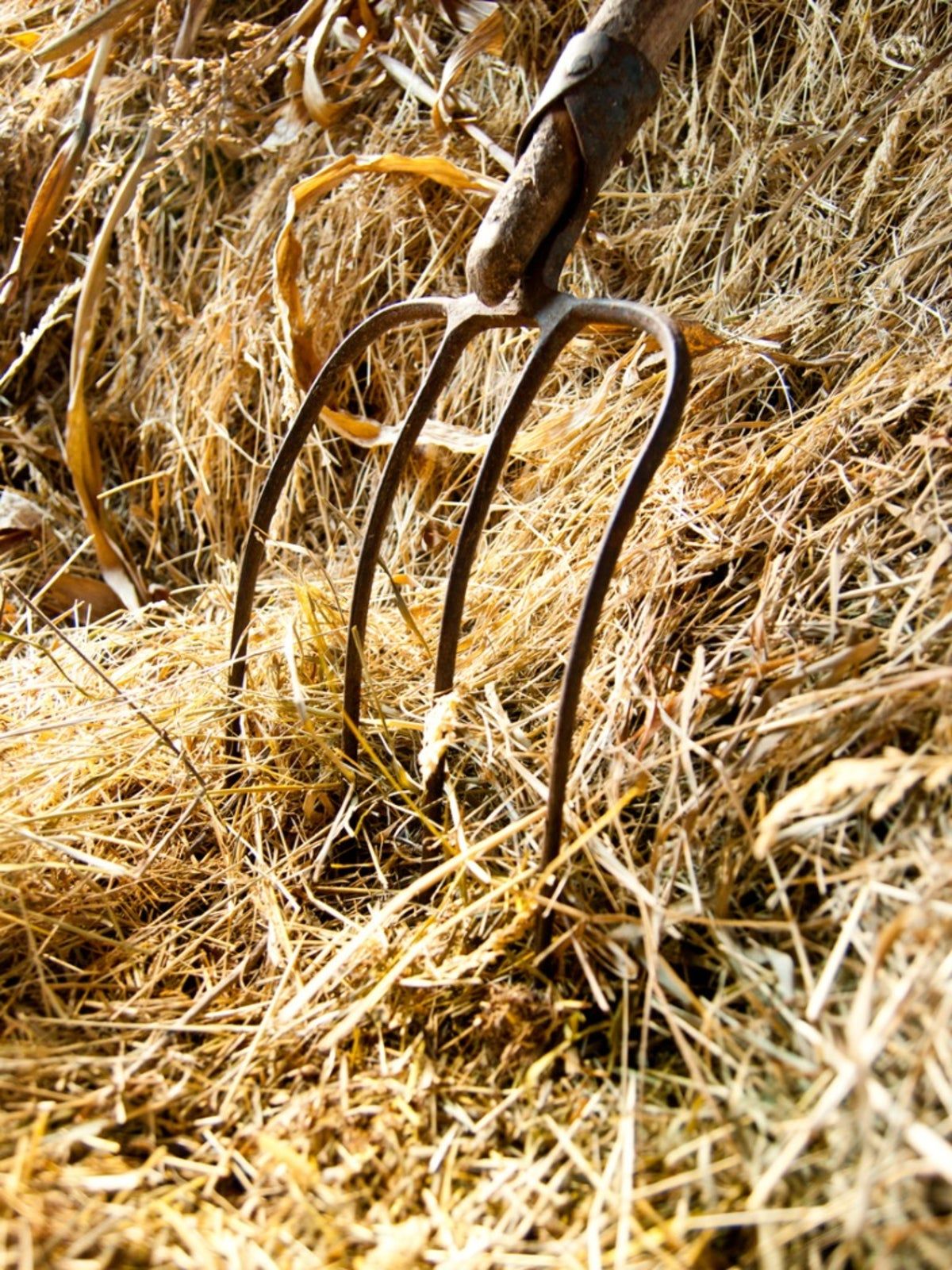 Pitch Fork In Straw