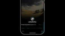 Perplexity App