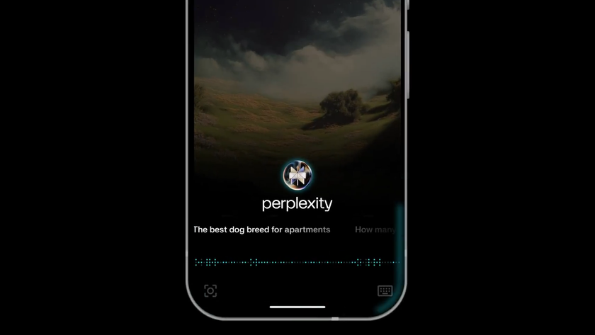 Perplexity App