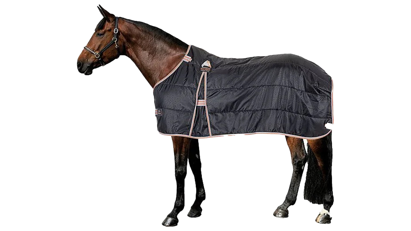 Felix Bu&amp;#776;hler Ceramic Rehab Liner stable Rug