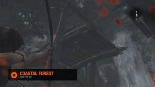 Tomb Raider Coastal Forest Totem #8