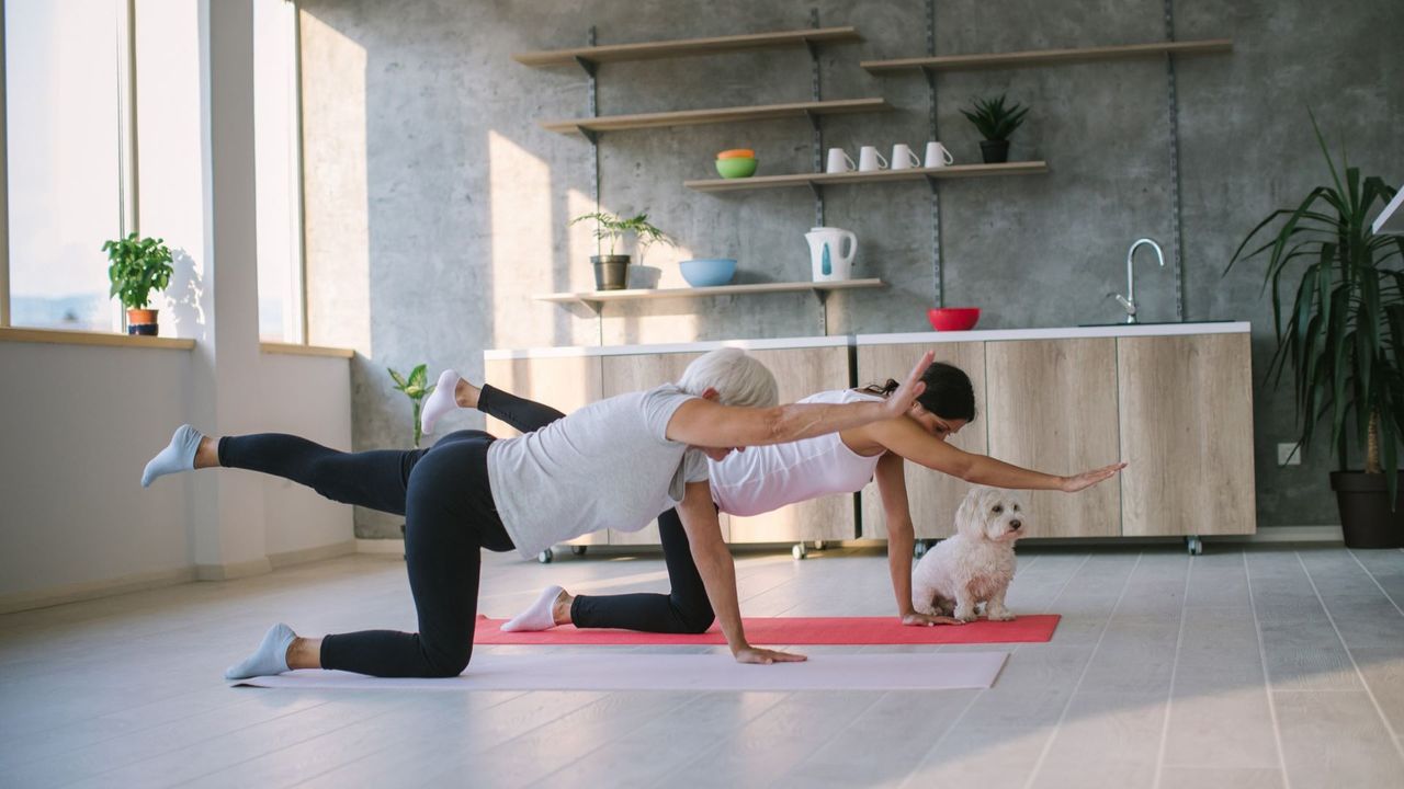 Two women on yoga mats, one younger and one older, perform a bird-dog pose. There is a real dog in the background and a kitchen setting.