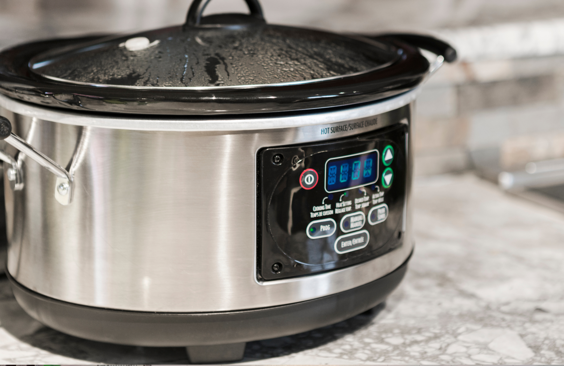 Does the Slow Cooker Seed Hack Really Work? | Gardening Know How