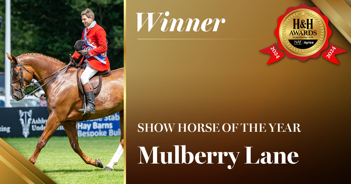 HH.0076_winner socials_1200x630_FB_30_Show Horse of the Year