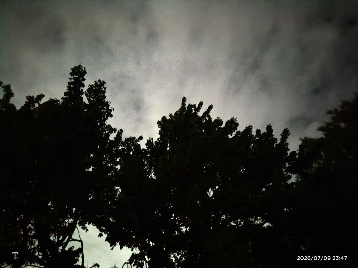 Trump Phone T1 camera sample.