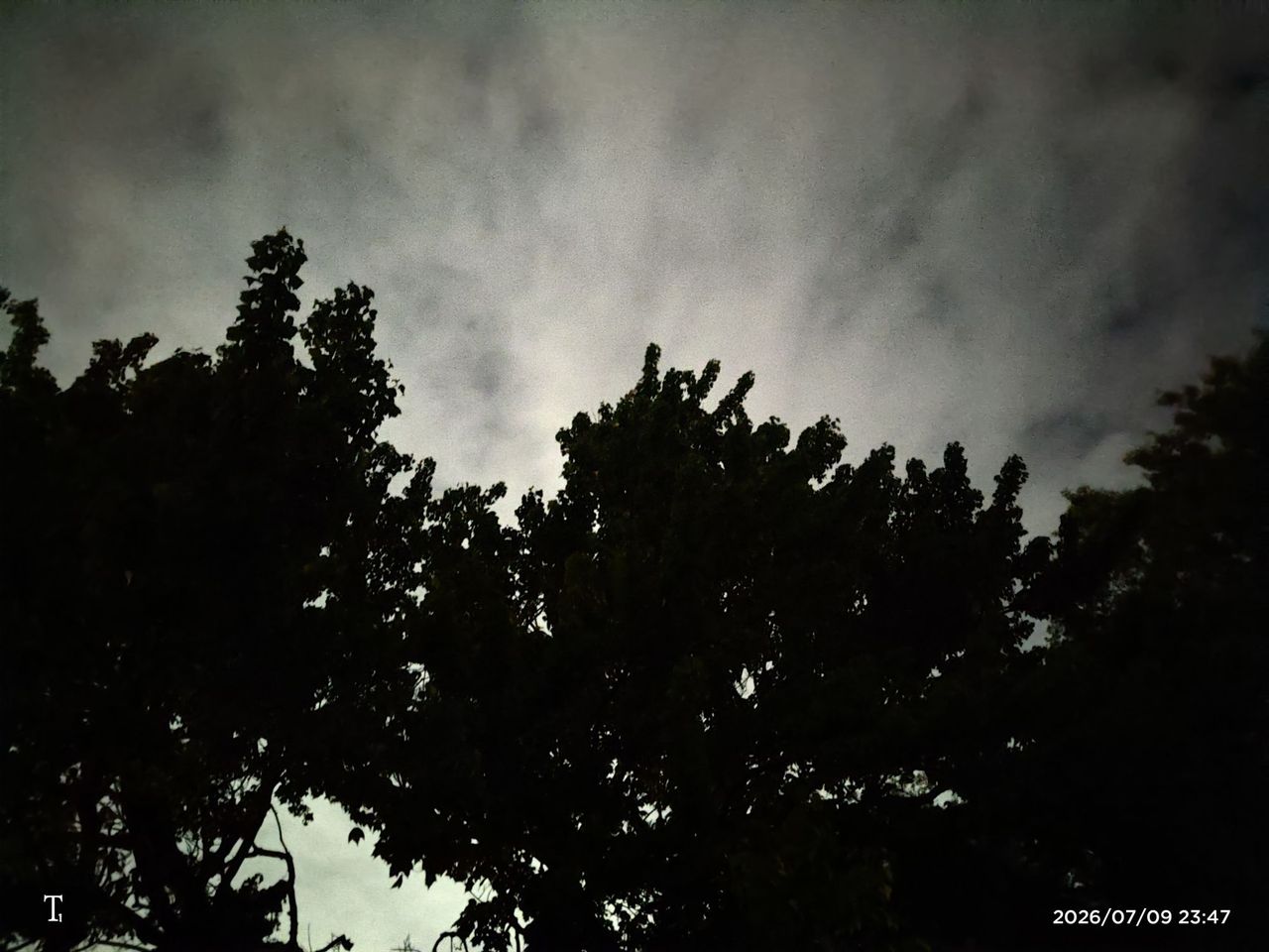 Trump Phone T1 camera sample.