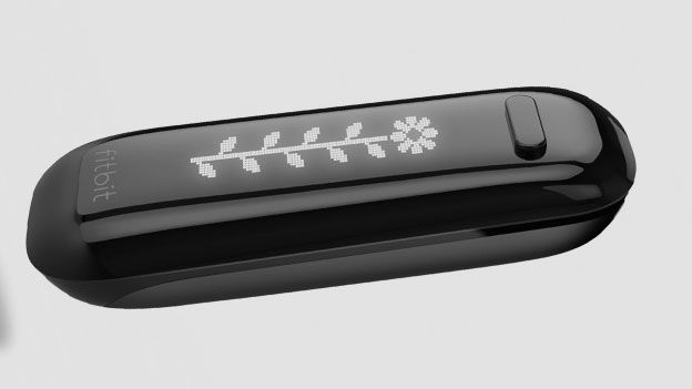 Fitbit One