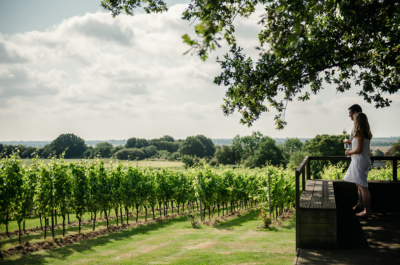 Tasting at The Nest, Gusbourne's tasting room in Appledore, Kent