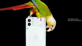 Et promobilde av en papegøye på en telefon i anledningen lanseringen av Nothing Phone (1)
