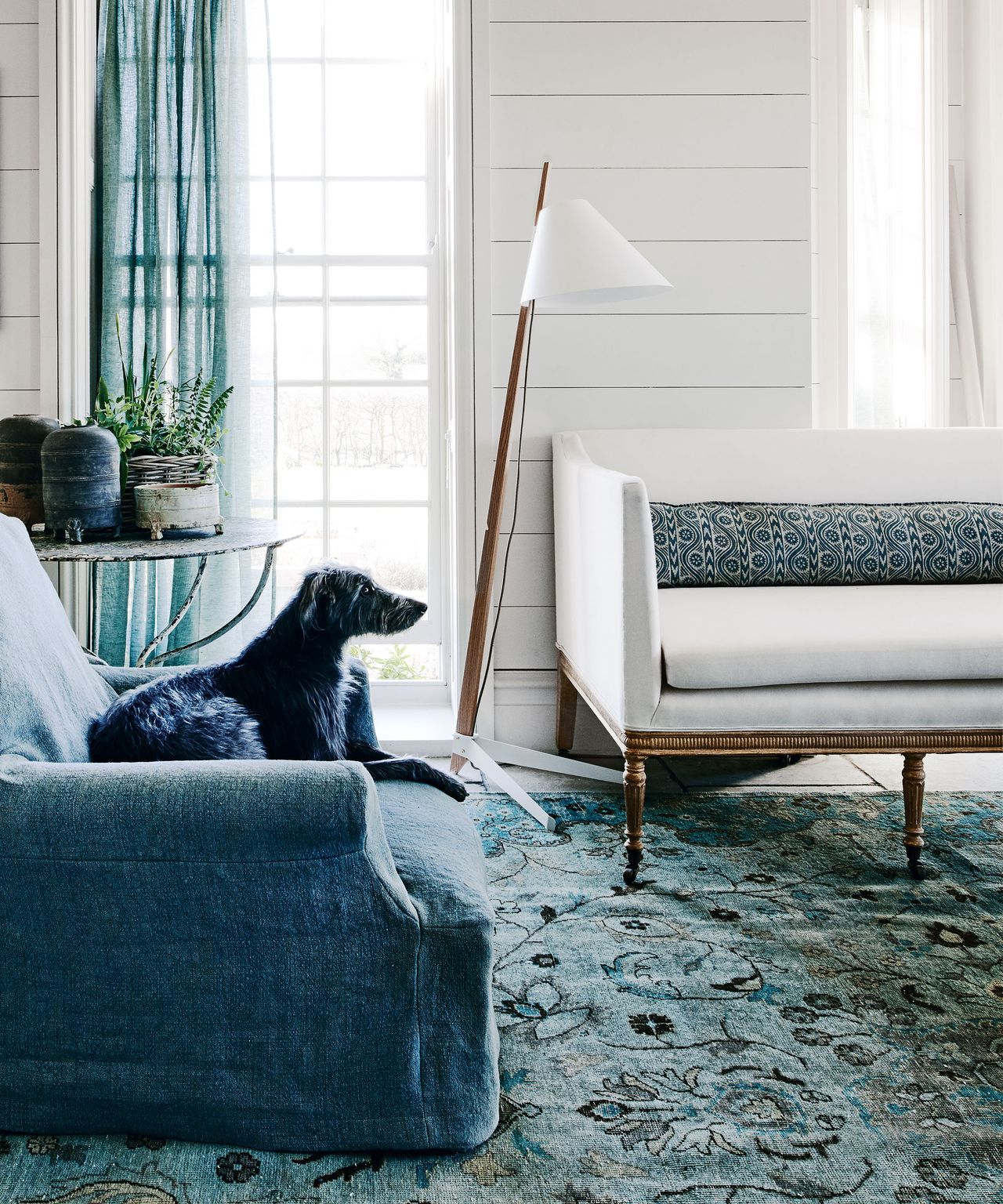 How often should you replace your carpet? We ask the experts | Homes ...