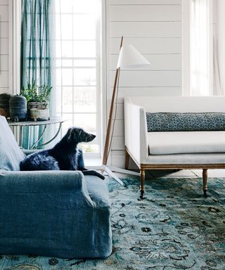 hite wood panelled wall, blue armchair, floral rug, regency sofa