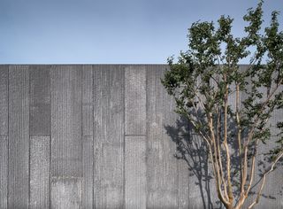 Textured wall with a tree in front of it