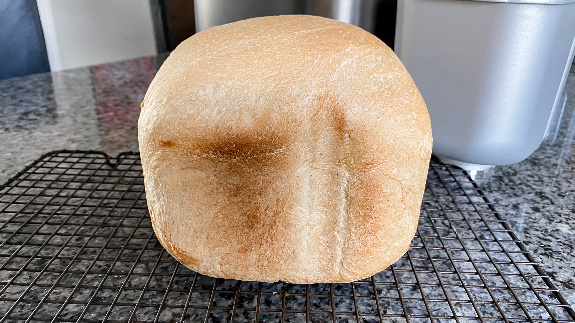Panasonic Automatic Bread Maker on a kitchen counter