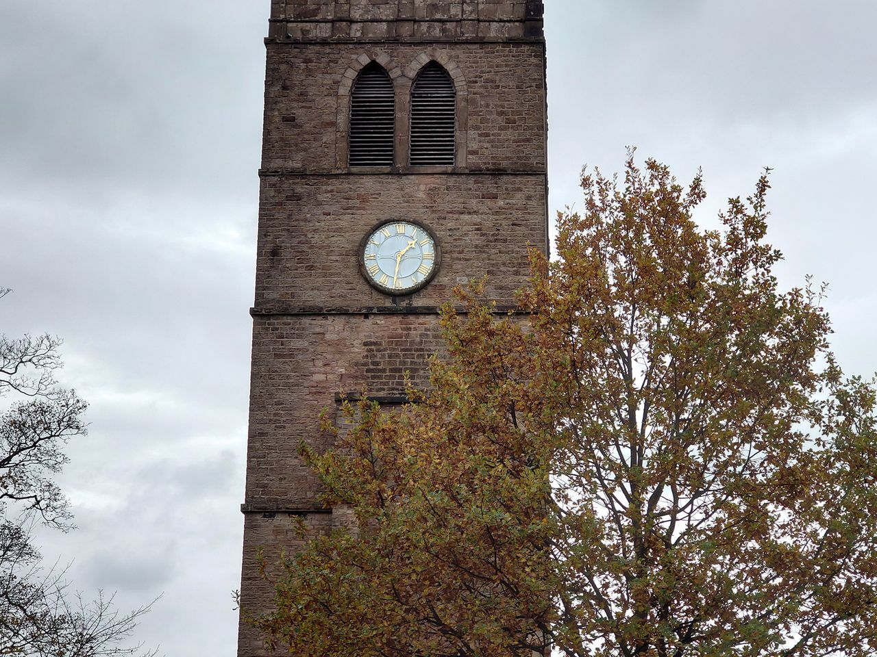 Sony Xperia 5 II camera sample