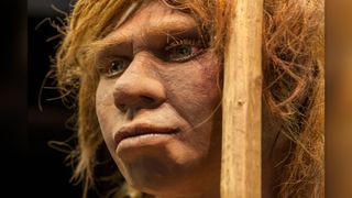 Life-sized sculpture of Neanderthal female.
