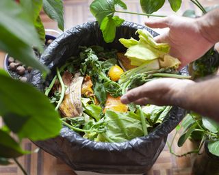 Composting in a trash can