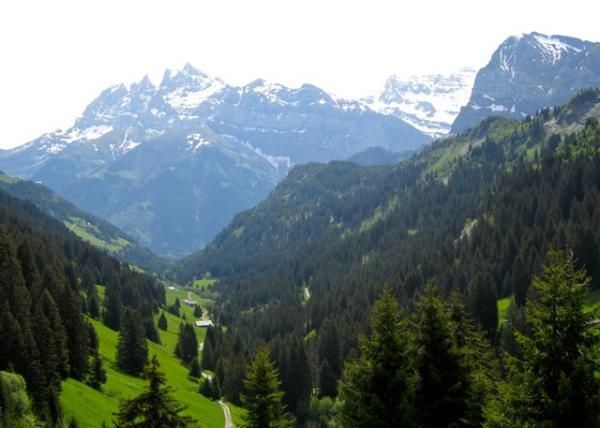The Champery World Cup course sits right at the base of the beautiful Dens du Midi