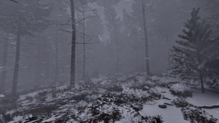 A snowy forest