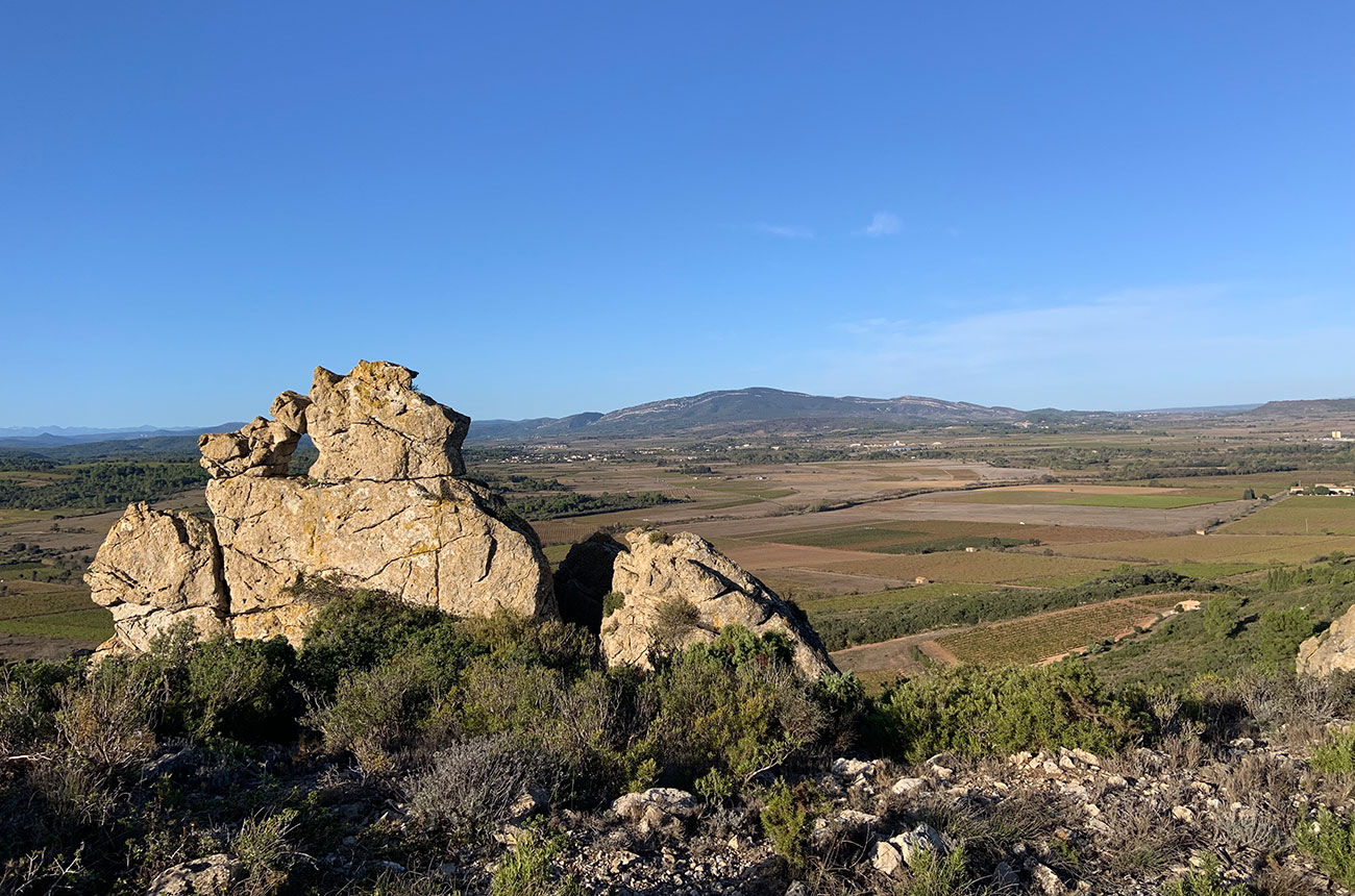 Corbi&amp;egrave;res &amp;amp; Minervois latest releases