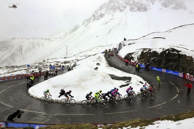 The maglia rosa group