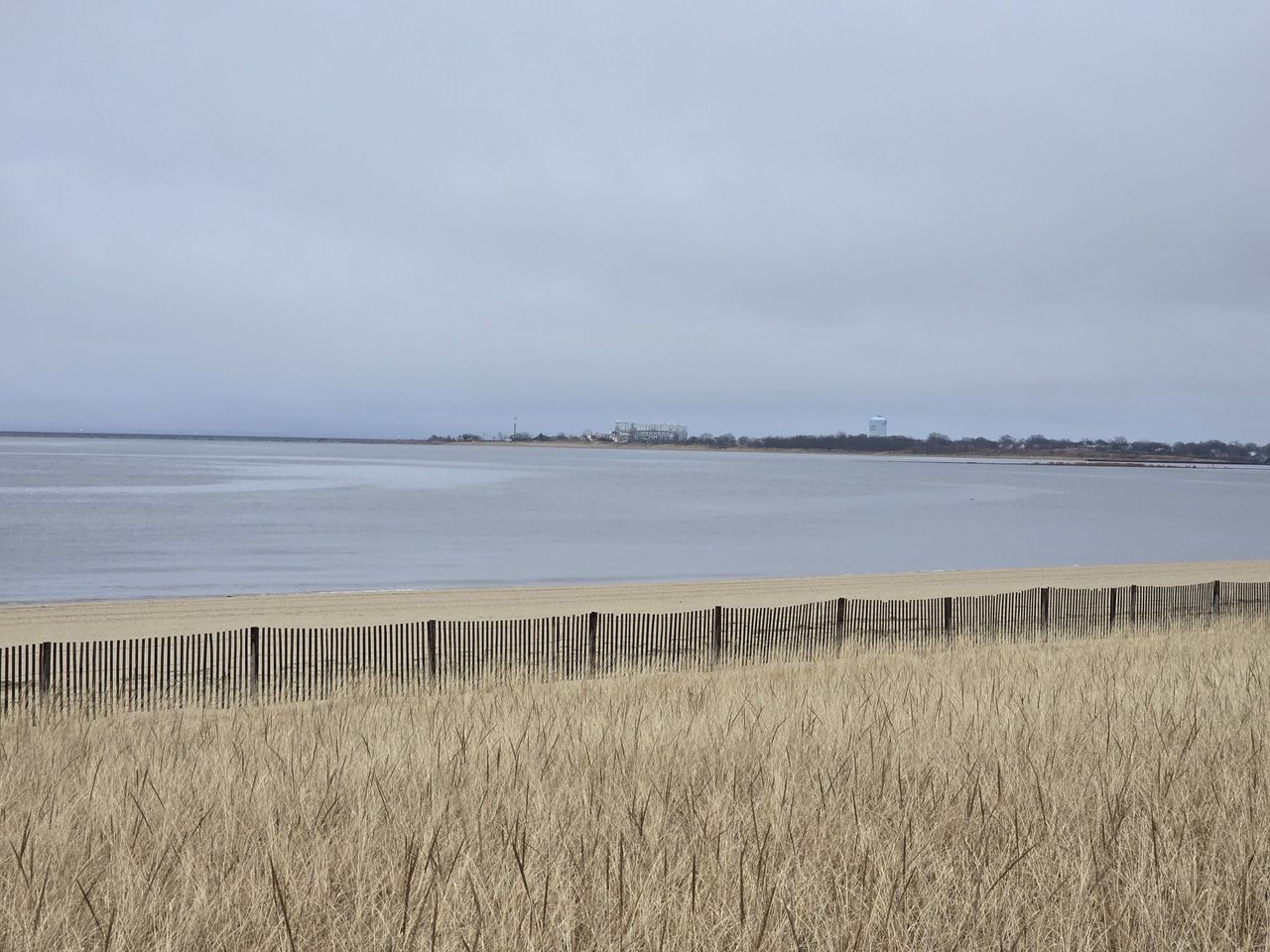 Samsung Galaxy S25 Ultra zoom sample.