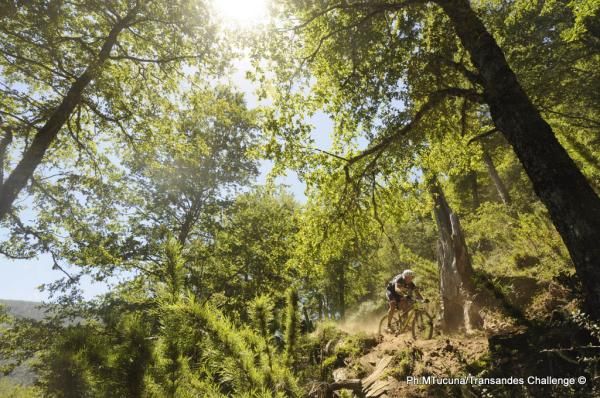 A rider descends singletrack in the woods of Chile