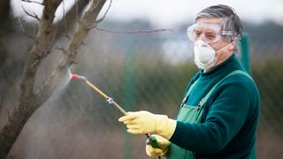 Some spraying an insecticide/fertilizer onto a tree while wearing a mask, protective eyewear, gloves and overalls