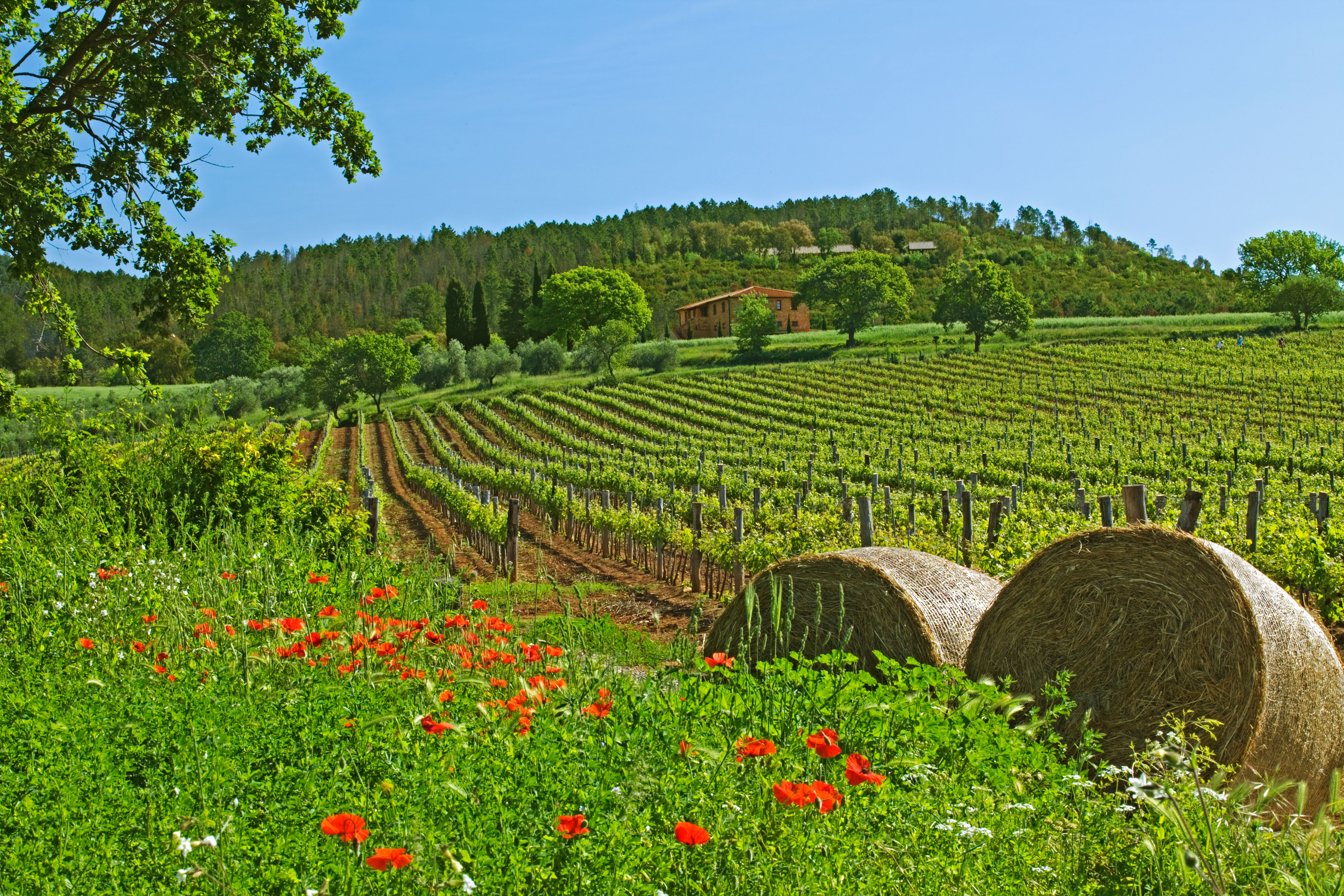 Best October holidays