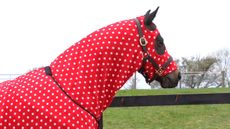 Supreme-Products-Dotty-Fleece-Hood-main.jpg