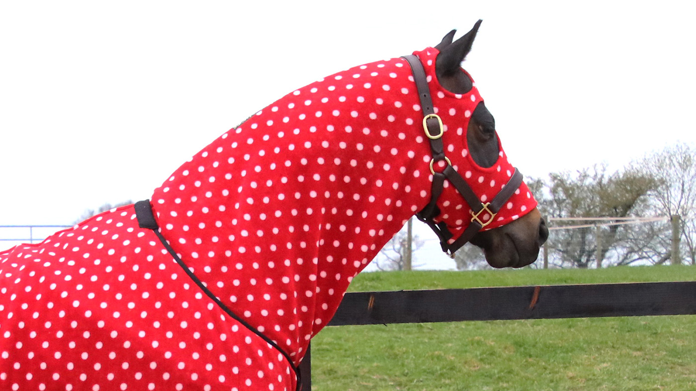 Supreme-Products-Dotty-Fleece-Hood-main.jpg