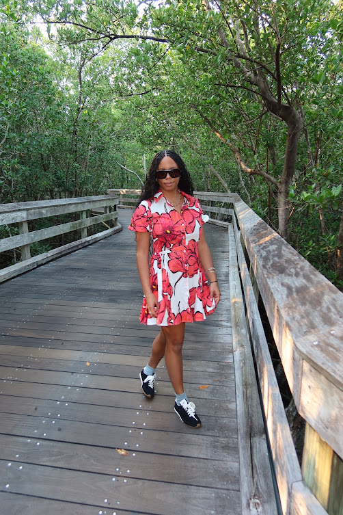 sierra mayhew packing guide