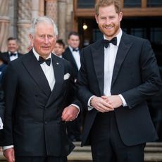 Prince Charles, Prince of Wales and Prince Harry, Duke of Sussex attend the "Our Planet" global premiere at Natural History Museum on April 04, 2019 in London, England. 