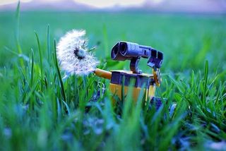 wall-e photography