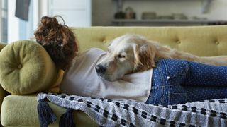 Golden retriever sleeping on sofa with girl