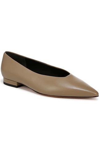 Isabel Pointed Toe Flat