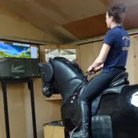 Mechanical horse riding lesson – £75 Mechanical horse riding lesson – £75