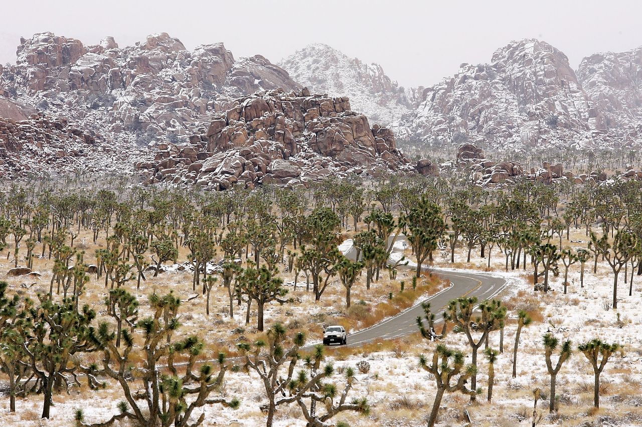 Joshua Tree National Park.