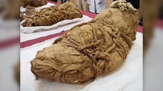 A funerary bundle of a recently found child mummy from the Cajamarquilla Archaeological Complex in Peru. The discovery was presented by archaeologists at the Royal College of the National University of San Marcos (UNMSM).