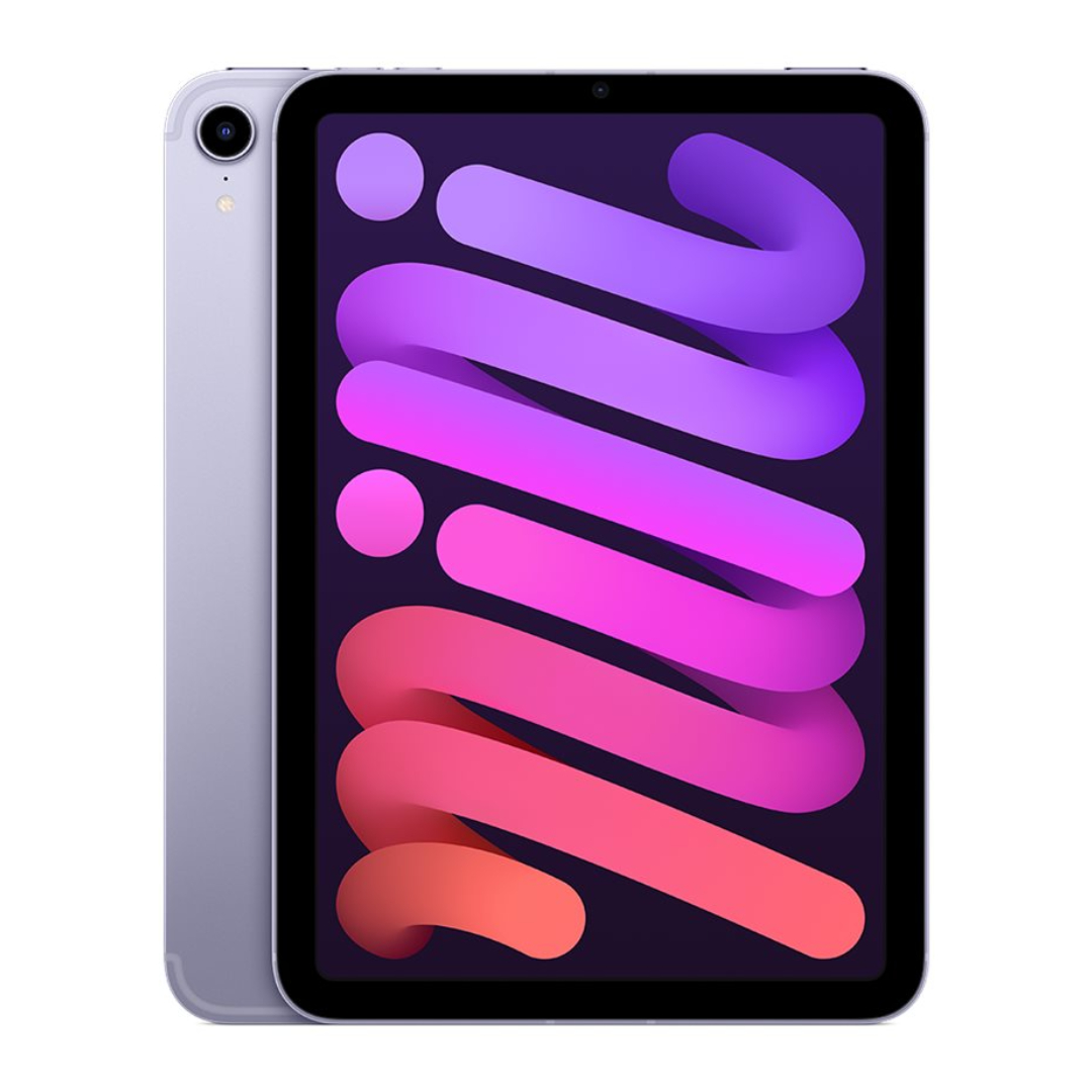iPad mini 6