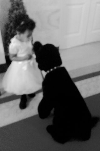 Blue Ivy Gets Friendly With A Labrador