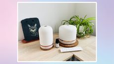 Two essential oil diffusers with white ceramic covers with a pot plant and a slate painting of a cat.