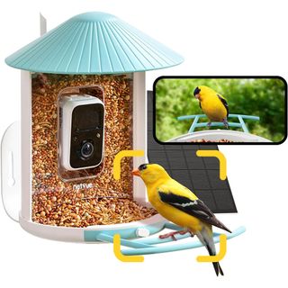 NetVue Birdfy Smart Bird Feeder With Camera