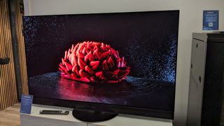 Panasonic Z95A with flower on screen