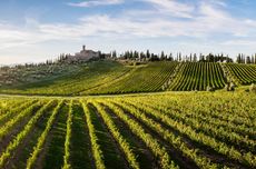 Castello_panorama@Elis_web-1.jpg