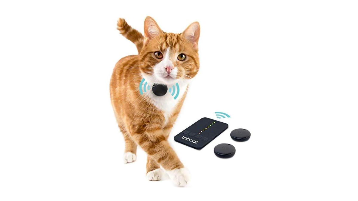 Best cat GPS tracker 2023 GPS trackers for adventurous kitties T3