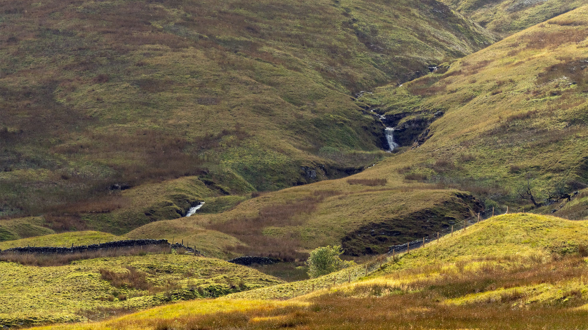 Snaizeholme Valley in the Yorkshire Dales