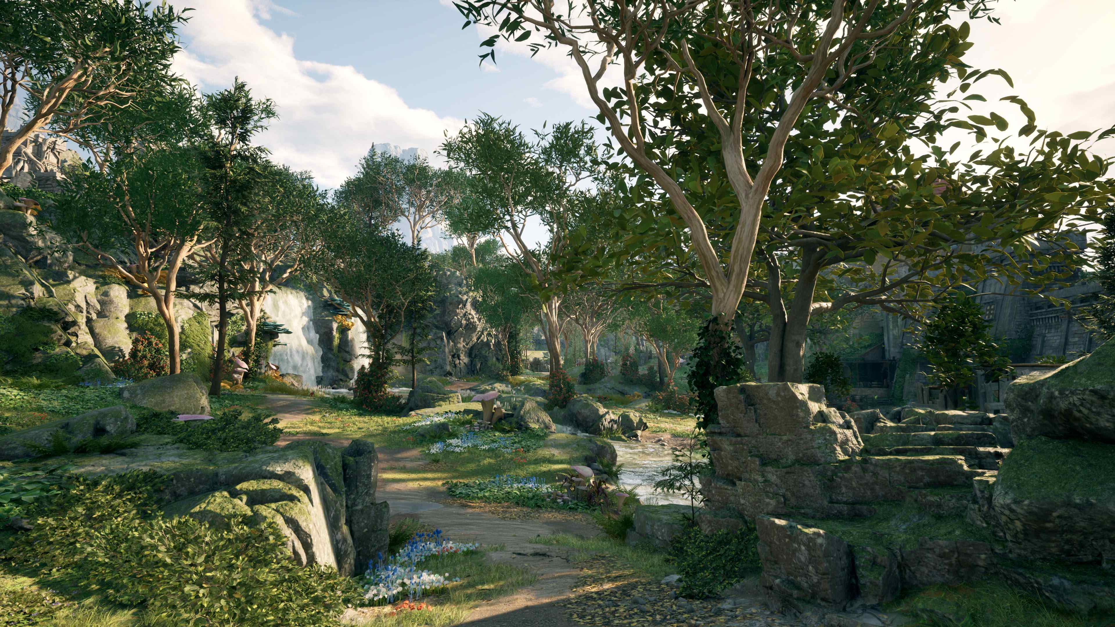 Screenshot of Avowed showing a light forest with a path winding through it.