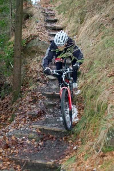 Let's see how these tires roll over the steps.